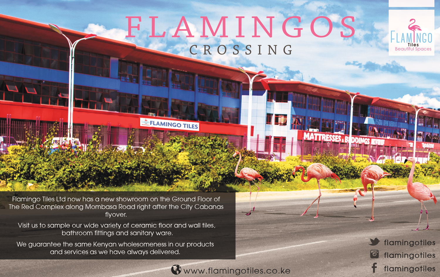 Flamingos-crossing-newspaper-AD